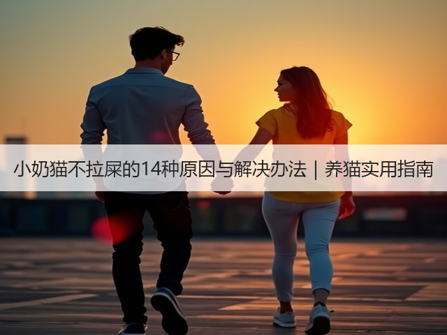 小奶猫不拉屎的14种原因与解决办法|养猫实用指南(图1) 小奶猫不拉屎的14种原因与解决办法|养猫实用指南(图1)