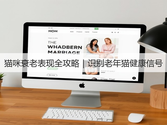 猫咪衰老表现全攻略｜识别老年猫健康信号(图3)