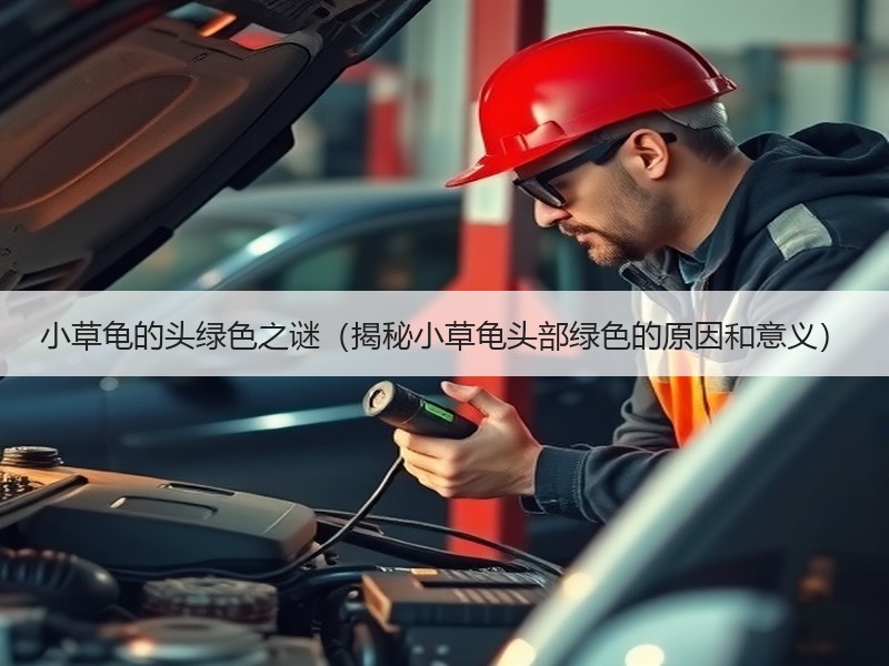 小草龟的头绿色之谜（揭秘小草龟头部绿色的原因和意义）