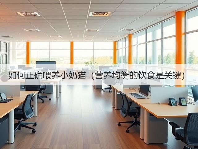 如何正确喂养小奶猫(营养均衡的饮食是关键)(图1) 如何正确喂养小奶猫(营养均衡的饮食是关键)(图1)