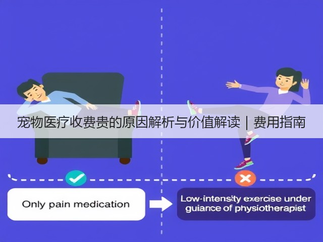 宠物医疗收费贵的原因解析与价值解读｜费用指南(图3)
