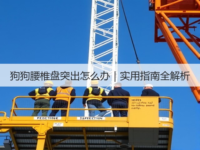 狗狗腰椎盘突出怎么办|实用指南全解析(图1) 狗狗腰椎盘突出怎么办|实用指南全解析(图1)
