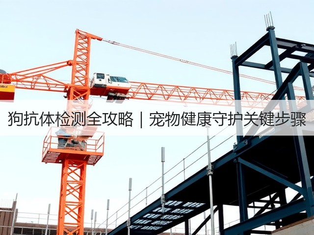 狗抗体检测全攻略|宠物健康守护关键步骤(图3) 狗抗体检测全攻略|宠物健康守护关键步骤(图3)