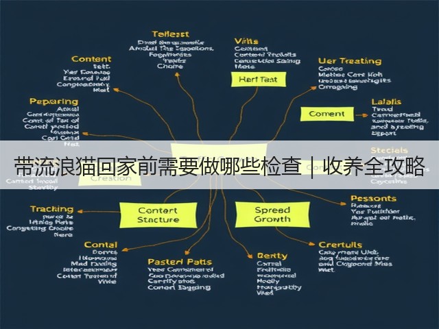带流浪猫回家前需要做哪些检查|收养全攻略(图1) 带流浪猫回家前需要做哪些检查|收养全攻略(图1)