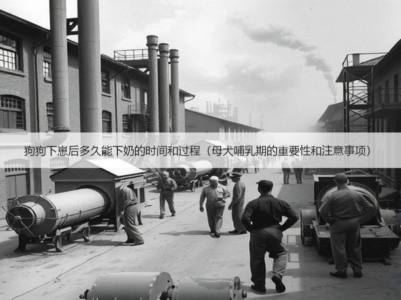 狗狗下崽后多久能下奶的时间和过程（母犬哺乳期的重要性和注意事项）