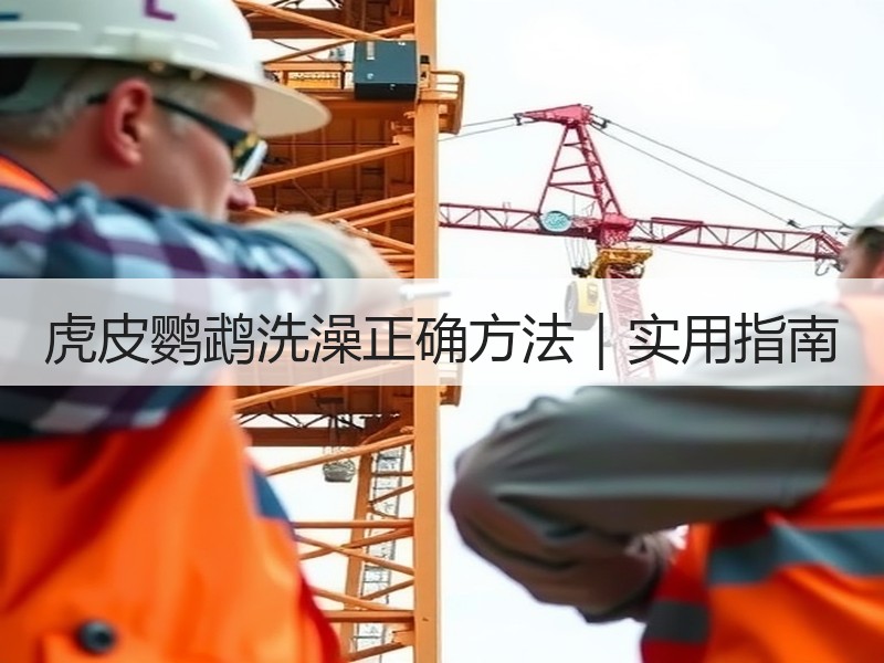 虎皮鹦鹉洗澡正确方法｜实用指南