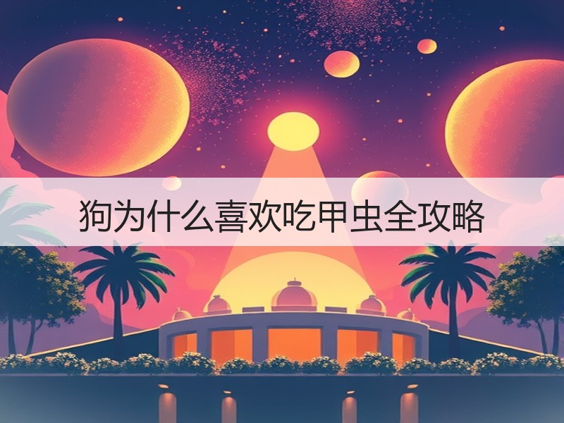 狗为什么喜欢吃甲虫全攻略