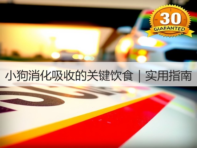 小狗消化吸收的关键饮食|实用指南(图3) 小狗消化吸收的关键饮食|实用指南(图3)