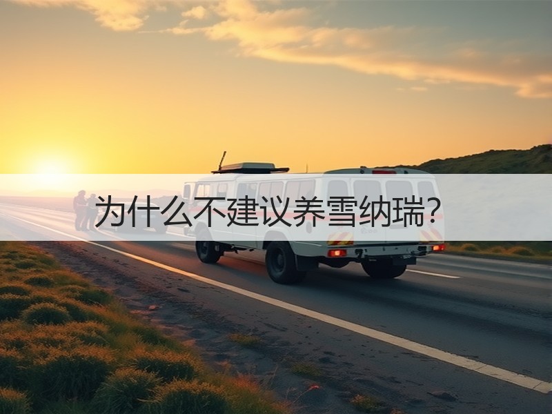 为什么不建议养雪纳瑞？