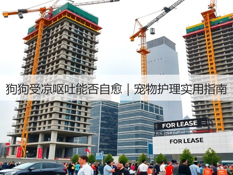 狗狗受凉呕吐能否自愈｜宠物护理实用指南