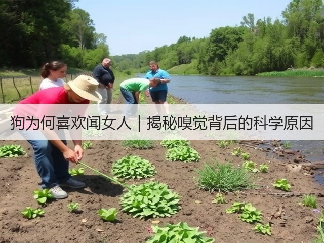狗为何喜欢闻女人|揭秘嗅觉背后的科学原因(图1) 狗为何喜欢闻女人|揭秘嗅觉背后的科学原因(图1)