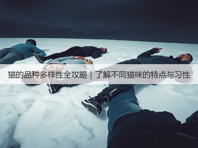 猫的品种多样性全攻略｜了解不同猫咪的特点与习性