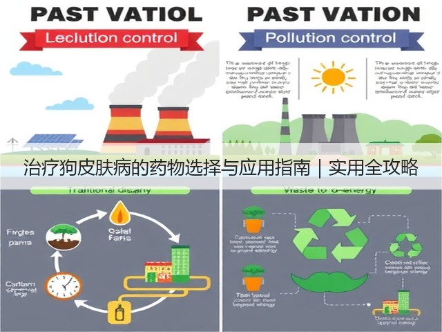 治疗狗皮肤病的药物选择与应用指南|实用全攻略(图1) 治疗狗皮肤病的药物选择与应用指南|实用全攻略(图1)