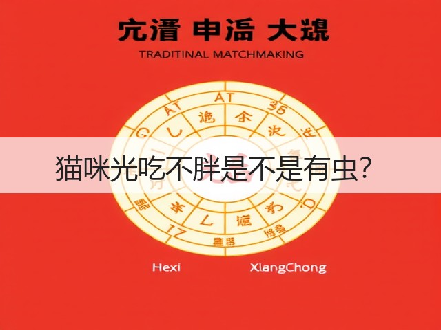 猫咪光吃不胖是不是有虫?(图1) 猫咪光吃不胖是不是有虫?(图1)