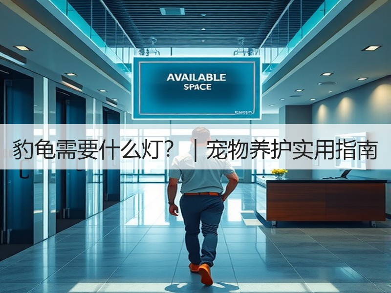 豹龟需要什么灯？｜宠物养护实用指南