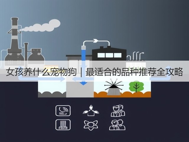 女孩养什么宠物狗｜最适合的品种推荐全攻略(图3)