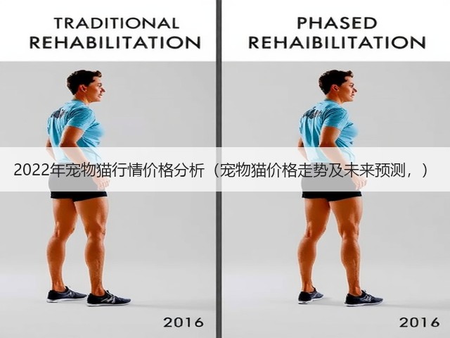 2022年宠物猫行情价格分析(宠物猫价格走势及未来预测,)(图1) 2022年宠物猫行情价格分析(宠物猫价格走势及未来预测,)(图1)