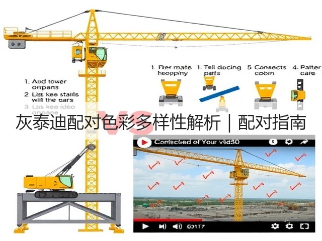 灰泰迪配对色彩多样性解析|配对指南(图1) 灰泰迪配对色彩多样性解析|配对指南(图1)
