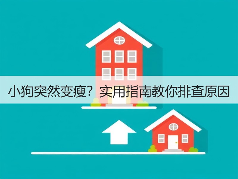 小狗突然变瘦？实用指南教你排查原因
