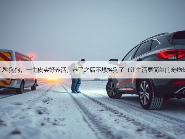 选择这几种狗狗,一生皮实好养活,养了之后不想换狗了(让生活更简单的宠物伙伴,)(图2) 选择这几种狗狗,一生皮实好养活,养了之后不想换狗了(让生活更简单的宠物伙伴,)(图2)