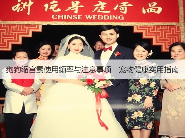 狗狗缩宫素使用频率与注意事项|宠物健康实用指南(图2) 狗狗缩宫素使用频率与注意事项|宠物健康实用指南(图2)