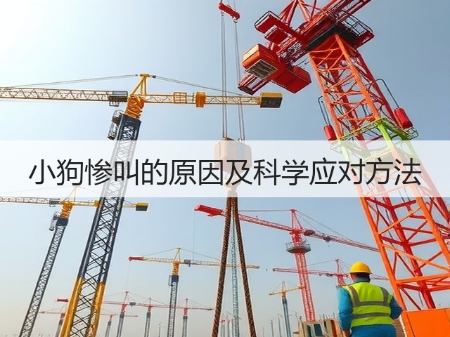 小狗惨叫的原因及科学应对方法(图1) 小狗惨叫的原因及科学应对方法(图1)