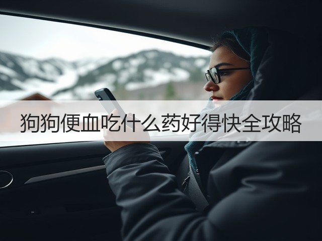 狗狗便血吃什么药好得快全攻略(图3) 狗狗便血吃什么药好得快全攻略(图3)