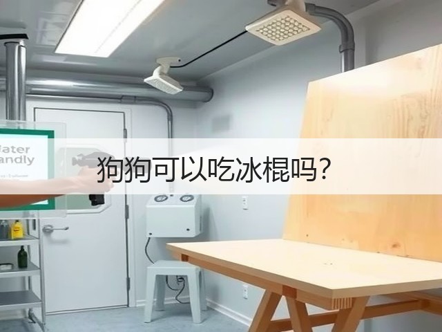 狗狗可以吃冰棍吗？(图2)