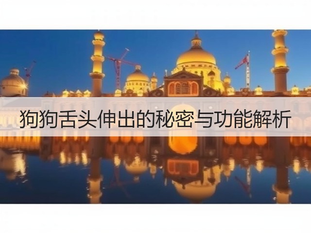 狗狗舌头伸出的秘密与功能解析(图1) 狗狗舌头伸出的秘密与功能解析(图1)