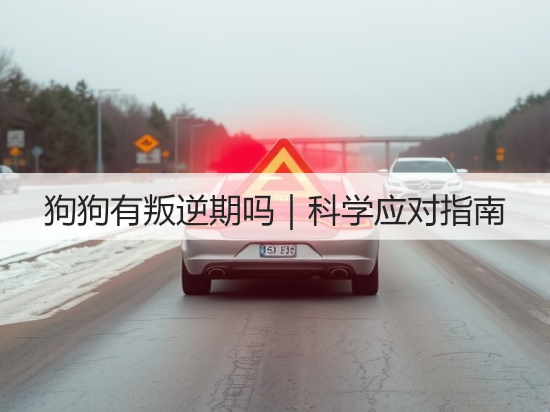 狗狗有叛逆期吗｜科学应对指南