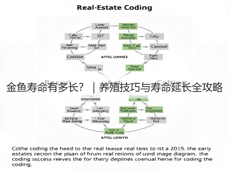 金鱼寿命有多长？｜养殖技巧与寿命延长全攻略
