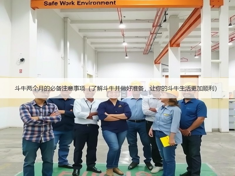 斗牛两个月的必备注意事项（了解斗牛并做好准备，让你的斗牛生活更加顺利）