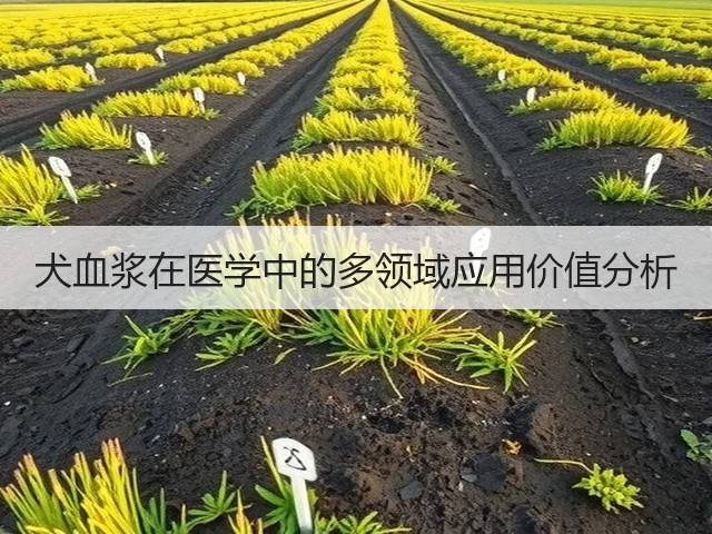 犬血浆在医学中的多领域应用价值分析(图3) 犬血浆在医学中的多领域应用价值分析(图3)