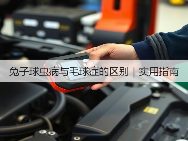兔子球虫病与毛球症的区别｜实用指南(图3)