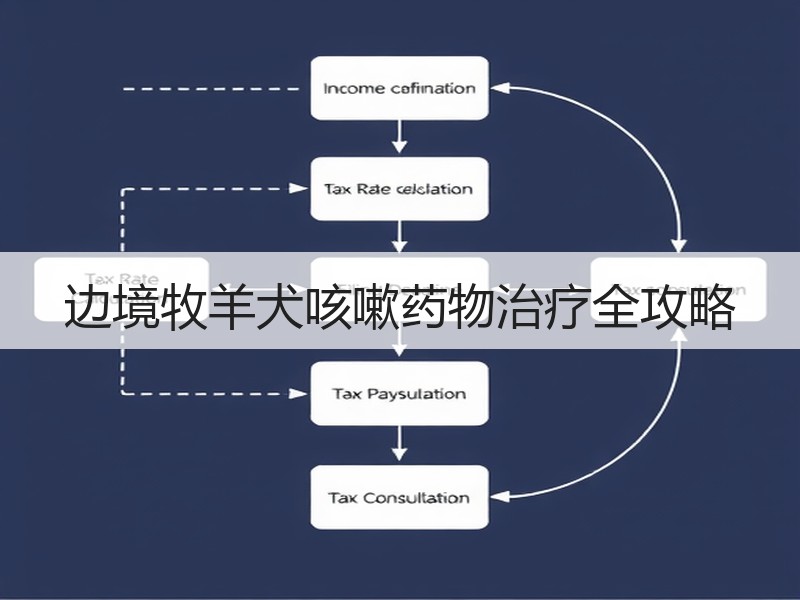 边境牧羊犬咳嗽药物治疗全攻略