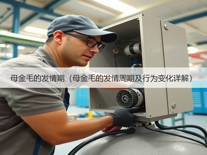 母金毛的发情期（母金毛的发情周期及行为变化详解）
