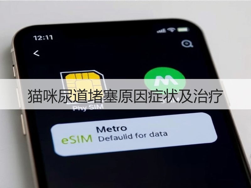 猫咪尿道堵塞原因症状及治疗