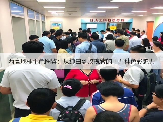 西高地梗毛色图鉴:从纯白到玫瑰紫的十五种色彩魅力(图1) 西高地梗毛色图鉴:从纯白到玫瑰紫的十五种色彩魅力(图1)