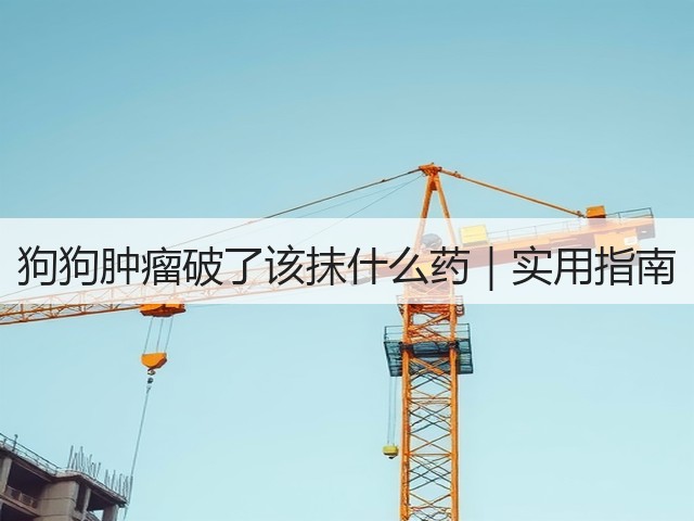 狗狗肿瘤破了该抹什么药|实用指南(图2) 狗狗肿瘤破了该抹什么药|实用指南(图2)