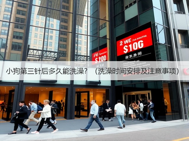 小狗第三针后多久能洗澡？（洗澡时间安排及注意事项）(图3)