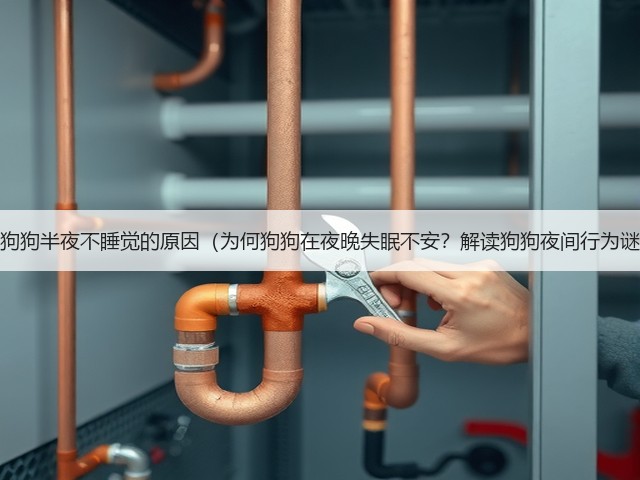 揭秘狗狗半夜不睡觉的原因(为何狗狗在夜晚失眠不安?解读狗狗夜间行为谜团)(图2) 揭秘狗狗半夜不睡觉的原因(为何狗狗在夜晚失眠不安?解读狗狗夜间行为谜团)(图2)