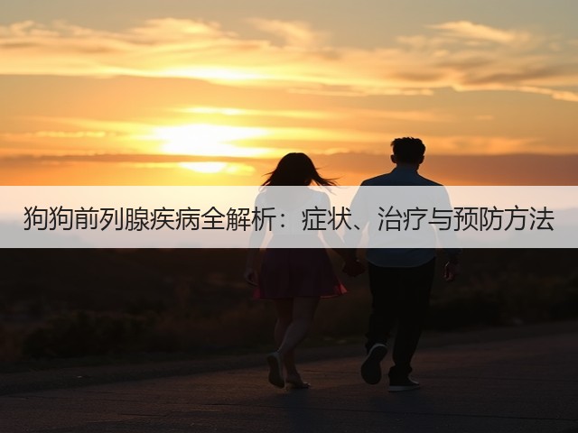 狗狗前列腺疾病全解析:症状、治疗与预防方法(图1) 狗狗前列腺疾病全解析:症状、治疗与预防方法(图1)