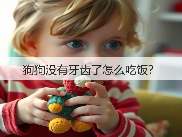 狗狗没有牙齿了怎么吃饭?(图3) 狗狗没有牙齿了怎么吃饭?(图3)