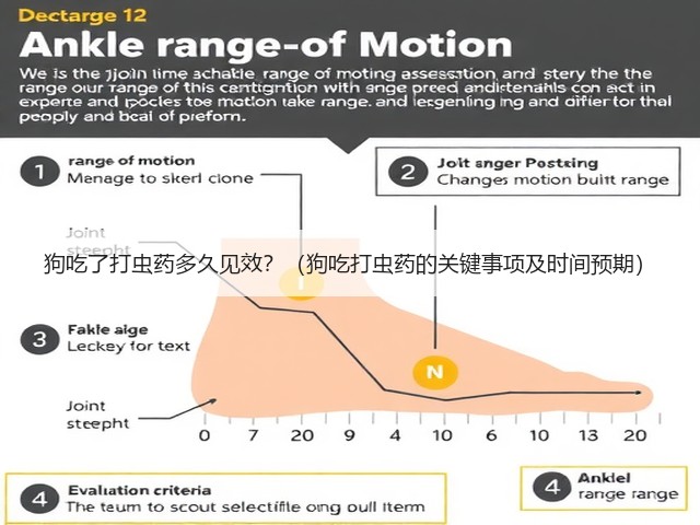 狗吃了打虫药多久见效？（狗吃打虫药的关键事项及时间预期）(图2)