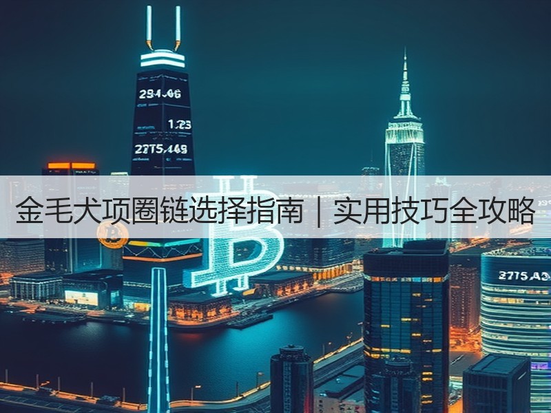 金毛犬项圈链选择指南｜实用技巧全攻略
