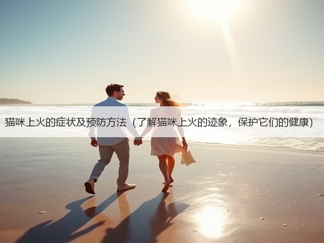 猫咪上火的症状及预防方法(了解猫咪上火的迹象,保护它们的健康)(图2) 猫咪上火的症状及预防方法(了解猫咪上火的迹象,保护它们的健康)(图2)