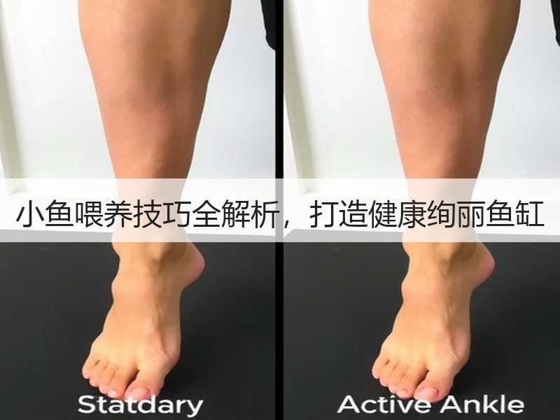 小鱼喂养技巧全解析，打造健康绚丽鱼缸