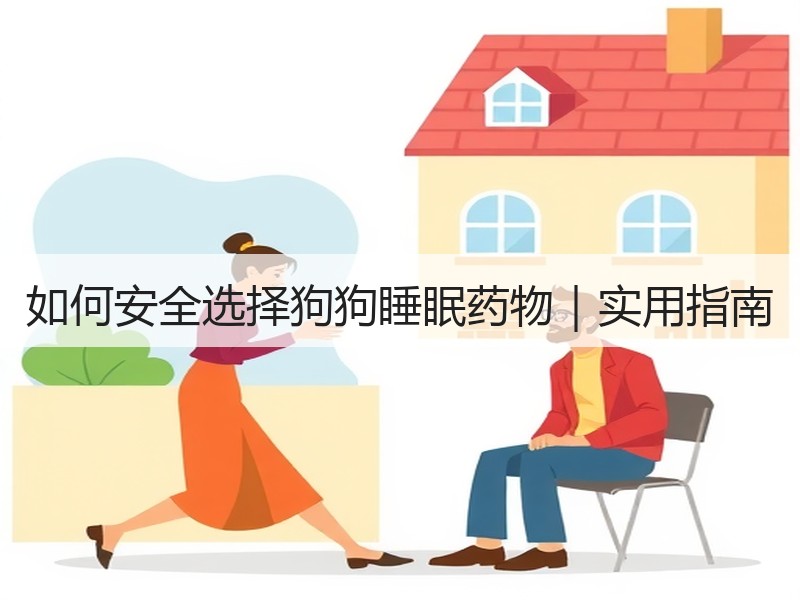 如何安全选择狗狗睡眠药物｜实用指南