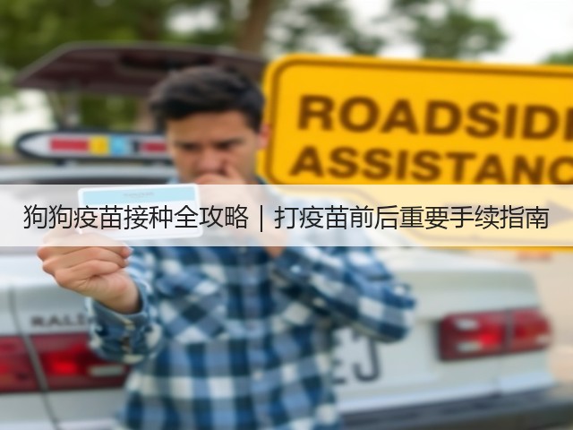 狗狗疫苗接种全攻略|打疫苗前后重要手续指南(图2) 狗狗疫苗接种全攻略|打疫苗前后重要手续指南(图2)