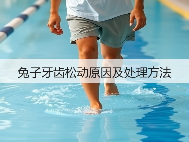 兔子牙齿松动原因及处理方法(图2) 兔子牙齿松动原因及处理方法(图2)